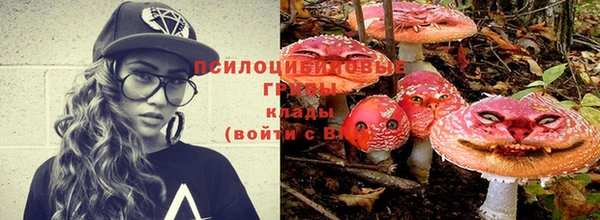 ALPHA-PVP Бородино