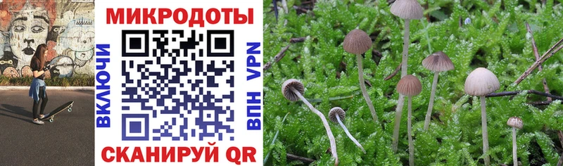 купить наркотик  Ковров  kraken ONION  Псилоцибиновые грибы Magic Shrooms 